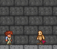 泰拉瑞亚原版百科泰拉瑞亚亚马逊球附魔最好是什么 亚马逊球怎么做配图