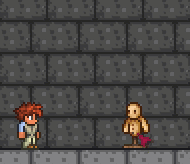 泰拉瑞亚原版百科泰拉瑞亚对打球怎么得有什么用配图