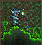 泰拉瑞亚原版百科泰拉瑞亚大自然的恩赐怎么获得有什么用 大自然的恩赐有多少几率掉配图