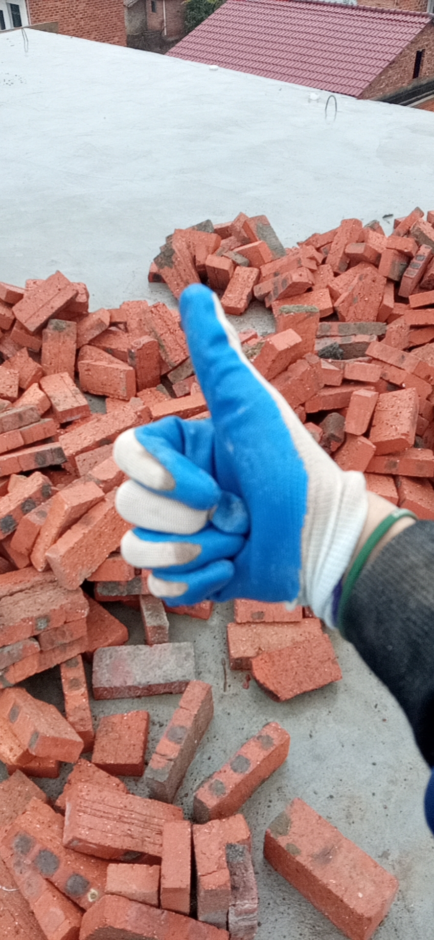 用户头像-晶塔一生之敌