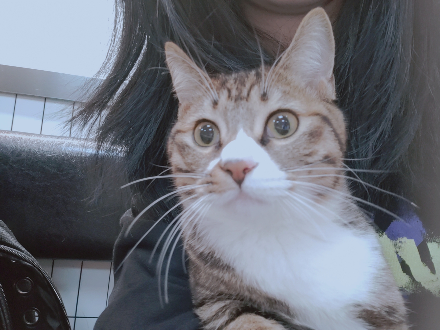 用户头像-又菜又摆