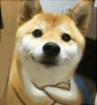 用户头像-汐若sama