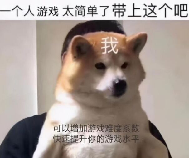 用户头像-洛挽枫