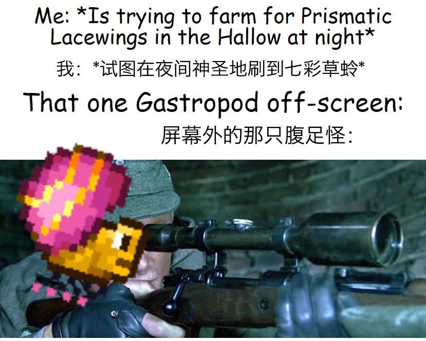 泰拉瑞亚原版百科泰拉瑞亚梗图，懂得都懂配图