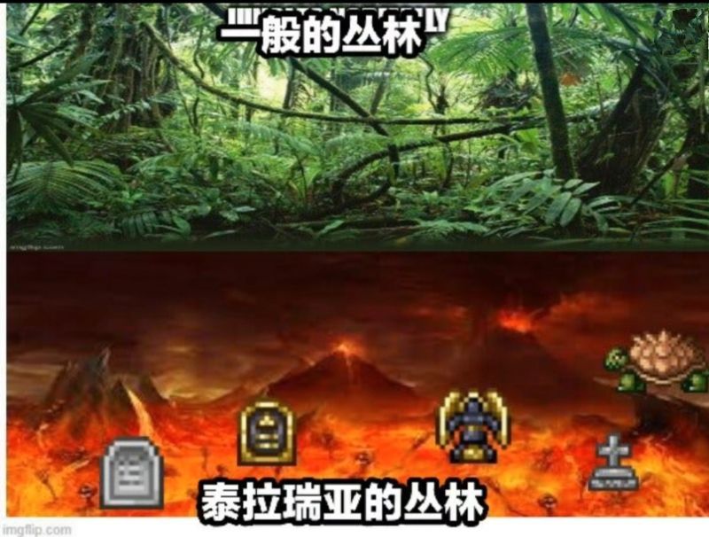 泰拉瑞亚原版百科泰拉瑞亚梗图，懂得都懂配图