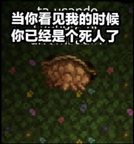 泰拉瑞亚原版百科泰拉瑞亚梗图，懂得都懂配图