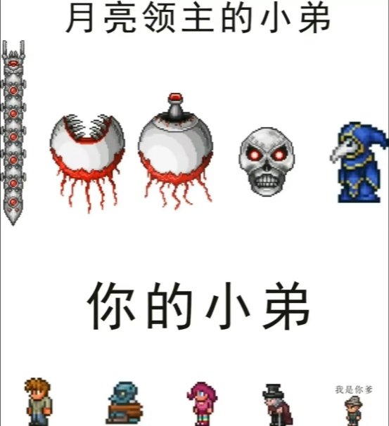 泰拉瑞亚原版百科泰拉瑞亚梗图，懂得都懂配图