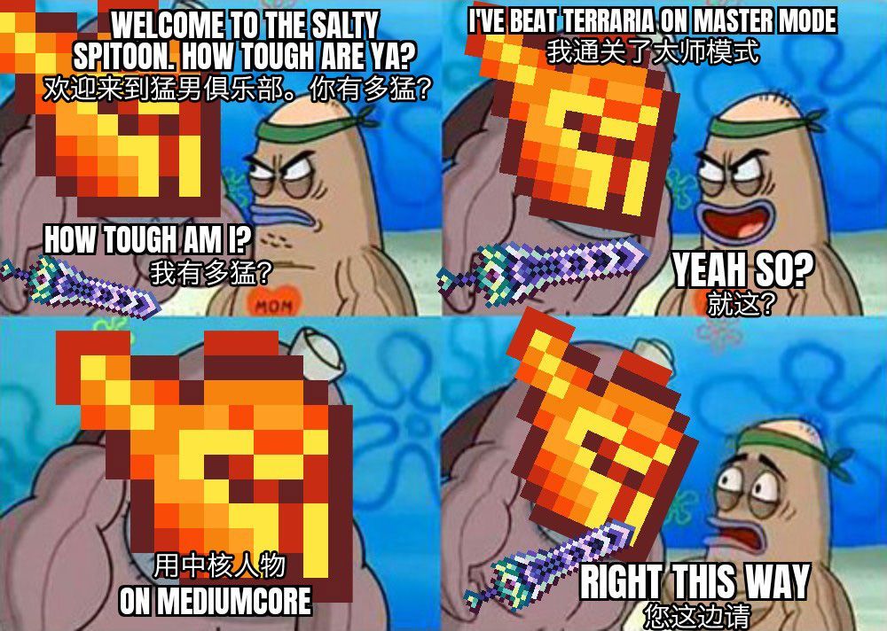 泰拉瑞亚原版百科泰拉瑞亚梗图，懂得都懂配图