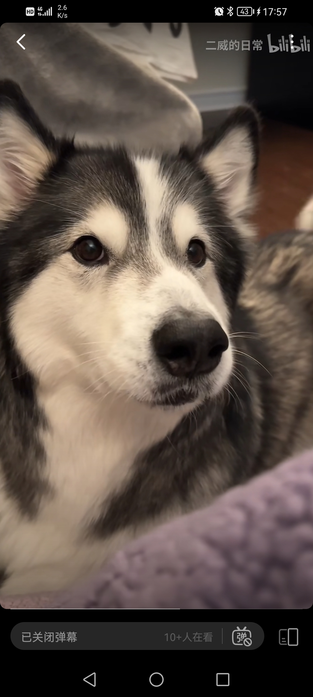 用户头像-460671528@