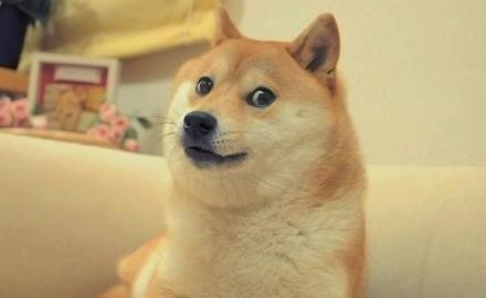 用户头像-哇～金色传说!