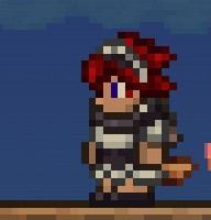 用户头像-泰拉瑞亚玩家的贴身女仆