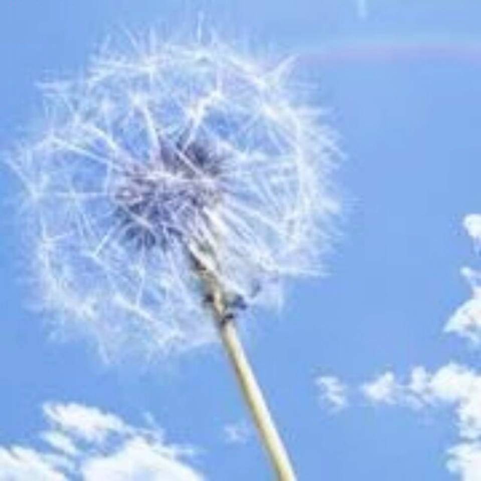 用户头像-空气~