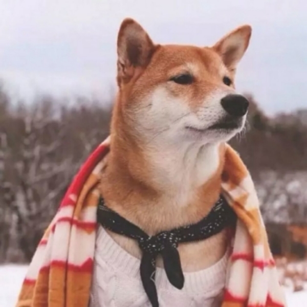 用户头像-有惊有喜