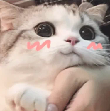 用户头像-爆炸神教教主