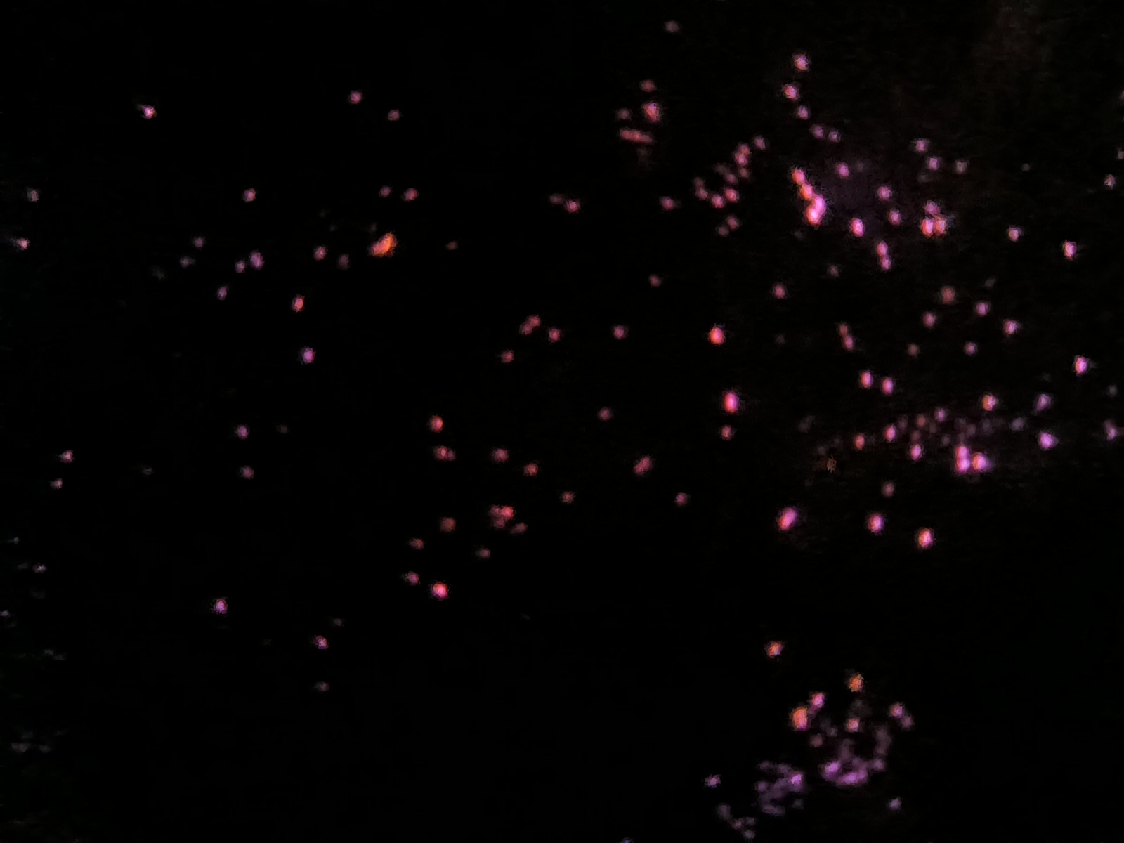 用户头像-阴谋制造商