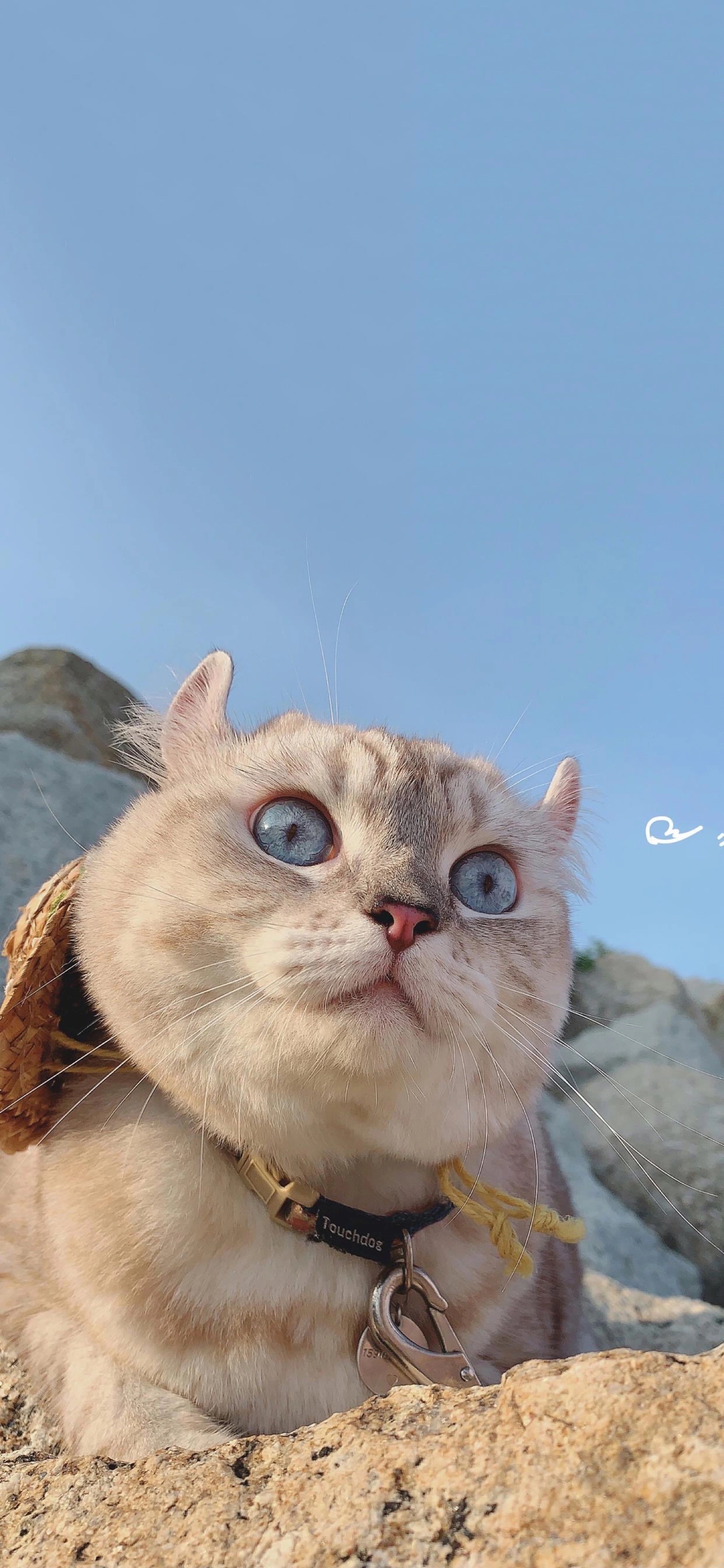 用户头像-那年夏天