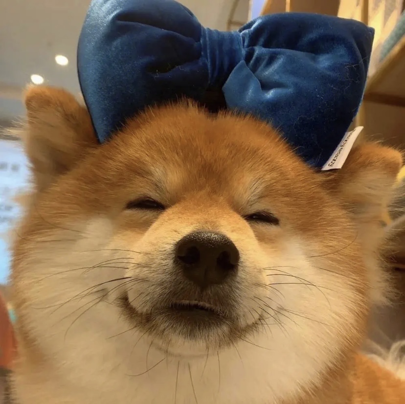 用户头像-苟枸.