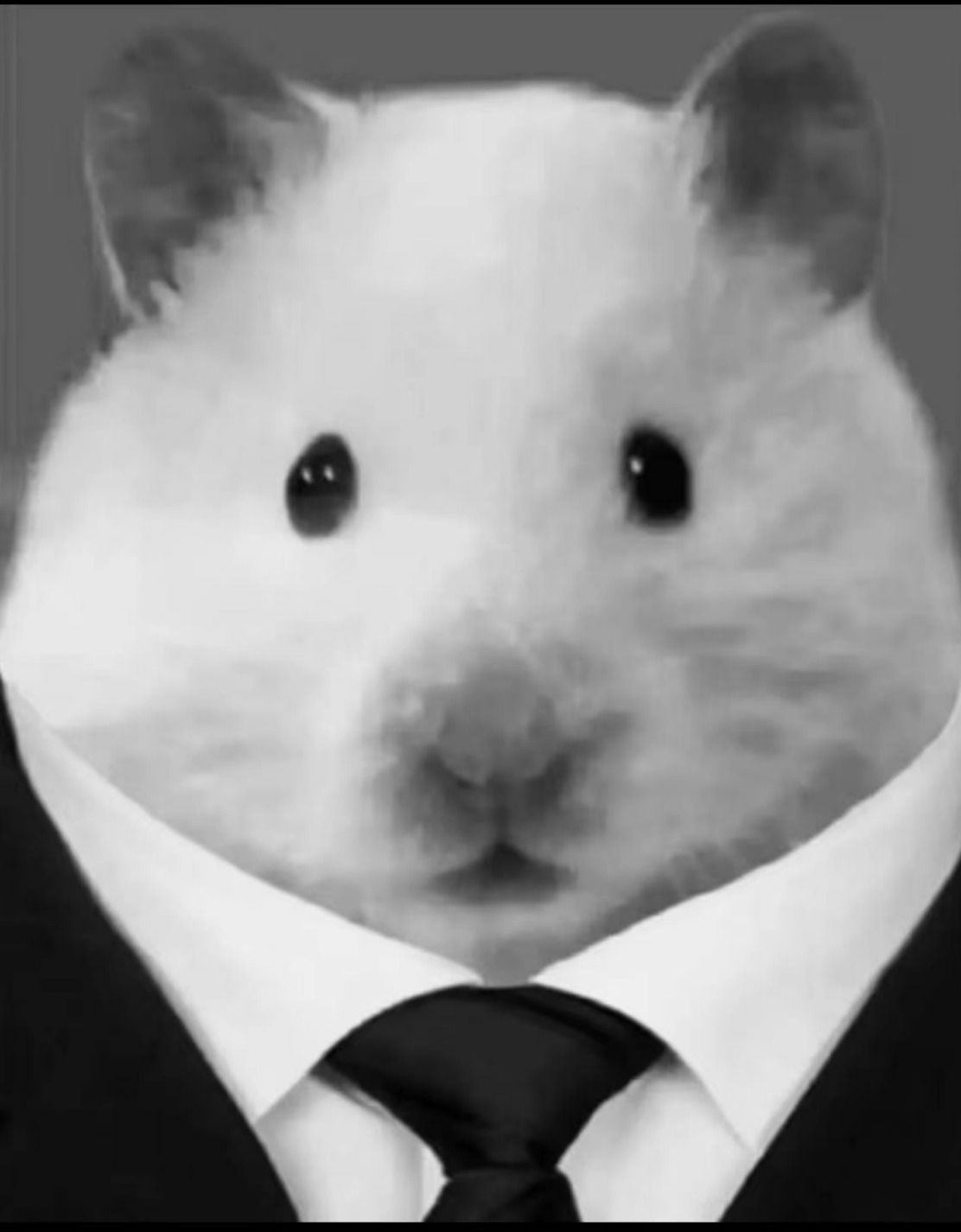 用户头像-悲伤的鼠鼠