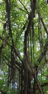 用户头像-yinwish