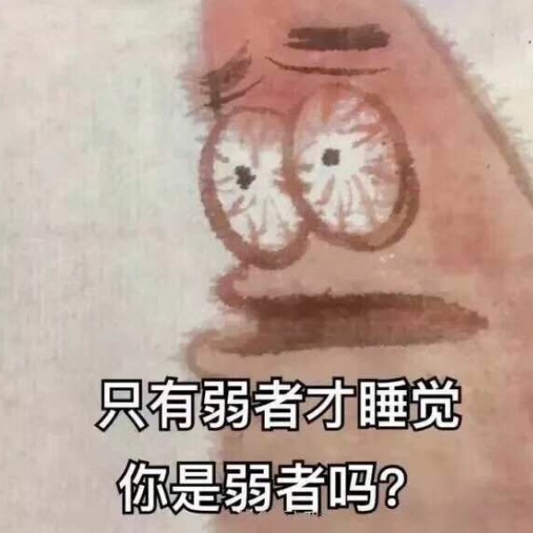 用户头像-猫南北